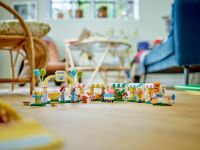 LEGO 42615 - Bild 9