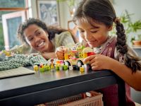 LEGO 42633 - Bild 3