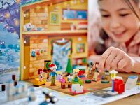LEGO 42637 - Fertiges Modell 2