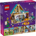 LEGO 42651 - Verpackung Rueckseite