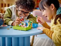 LEGO 43220 - Bild 9