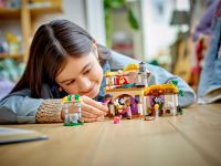 LEGO 43231 - Bild 8