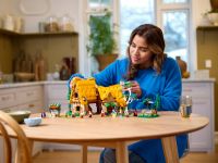 LEGO 43242 - Bild 9