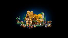 LEGO 43242 - Hauptansicht