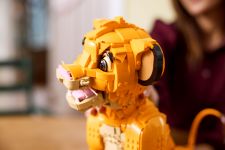 LEGO 43247 - Lifestyle-Aufnahme