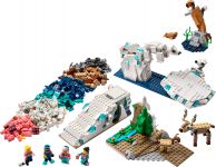 LEGO Education 45203 Naturwissenschaften Set Arktis-Tiere