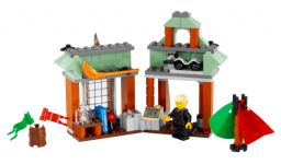 LEGO Harry Potter 4719 Fachhandlung für Quidditch™