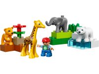 LEGO Duplo 4962 Tierbabys