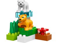 LEGO 4962 - Bild 3