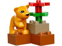 LEGO 4962 - Bild 4