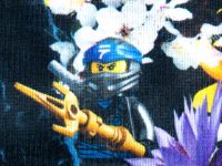 LEGO 5006220 - Bild 1