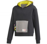 LEGO Gear 5006540 adidas x LEGO® Hoodie mit klassischer Passform