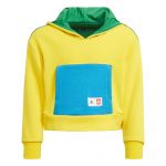 LEGO Gear 5006555 adidas x LEGO® Hoodie-Set mit klassischem Schnitt