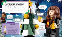LEGO 5007214 - Bild 3