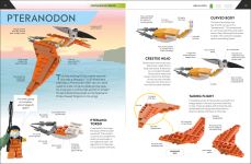 LEGO 5007582 - Bild 3