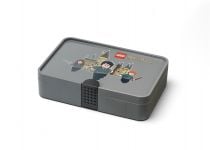 LEGO Gear 5007887 Harry Potter™ Sortierbox