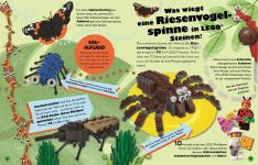LEGO 5007969 - Bild 2