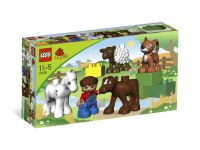 LEGO 5646 - Bild 1