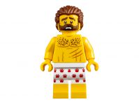 LEGO 60173 - Bild 8
