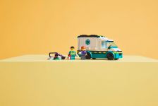 LEGO 60451 - Modell im Umgebungsbild