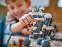 LEGO 60470 - Fertiges Modell 3