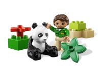 LEGO Duplo 6173 Pandabär
