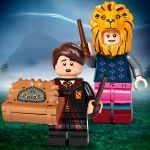 LEGO Collectable Minifigures 71028 Harry Potter Minifiguren Serie 2 - 60er Box