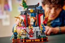 LEGO 71866 - Fertiges Modell 2