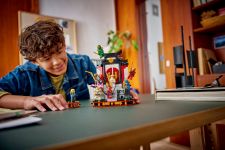 LEGO 71866 - Fertige Modelle in Aktion