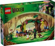 LEGO 75687 - Verpackung Ansicht 1