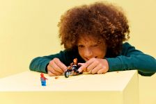 LEGO 76335 - Fertiges Modell 2