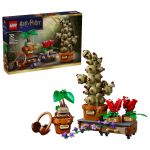 LEGO 76474 - Verpackung mit fertigem Modell