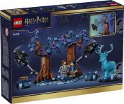 LEGO 76475 - Verpackung Rueckseite