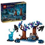 LEGO 76475 - Verpackung mit fertigem Modell