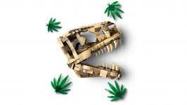 LEGO 76964 - Detailansicht 3