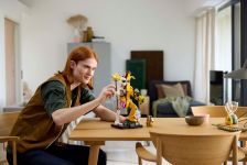 LEGO 77072 - Fertiges Modell 1