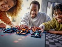 LEGO 77251 - Fertige Modelle in Aktion