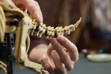 LEGO Jurassic World 77985 Dinosaurier-Fossilien: Triceratops LEGO_77985_Lifestyle_Build_04.jpg