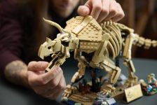 LEGO Jurassic World 77985 Dinosaurier-Fossilien: Triceratops LEGO_77985_Lifestyle_Build_06.jpg