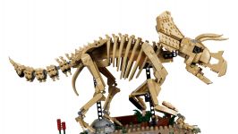 LEGO Jurassic World 77985 Dinosaurier-Fossilien: Triceratops LEGO_77985_WEB_SEC01_NOBG.jpg