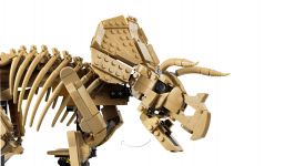 LEGO Jurassic World 77985 Dinosaurier-Fossilien: Triceratops LEGO_77985_WEB_SEC03_NOBG.jpg