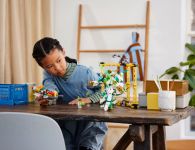 LEGO 80053 - Bild 7