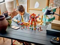 LEGO 80057 - Lifestyle-Aufnahme