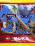 LEGO Ninjago L0002203 Dragon Nya